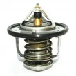 HOFFER 8192278 - Thermostat, liquide de refroidissement