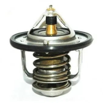 Thermostat, liquide de refroidissement HOFFER OEM 9091603101