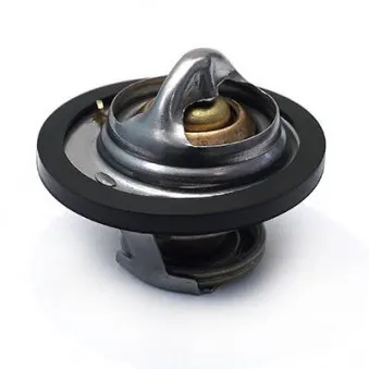 Thermostat, liquide de refroidissement HOFFER OEM 1760082860