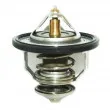 Thermostat, liquide de refroidissement HOFFER [8192294]