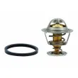 HOFFER 8192316 - Thermostat, liquide de refroidissement
