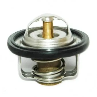 Thermostat, liquide de refroidissement HOFFER OEM 1760085821