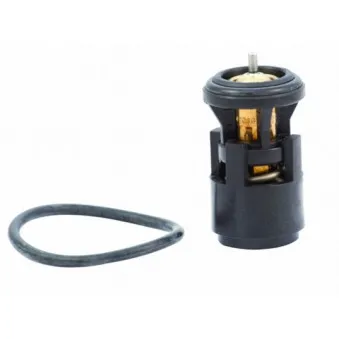 Thermostat, liquide de refroidissement HOFFER OEM 032121110B