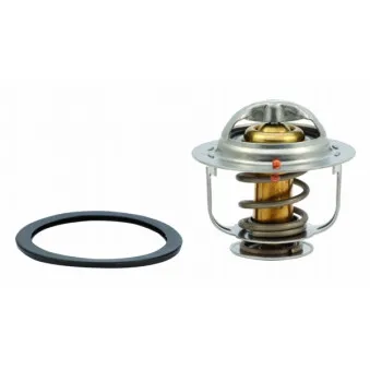 Thermostat, liquide de refroidissement HOFFER OEM 2120005D10