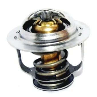 Thermostat, liquide de refroidissement HOFFER OEM 212000c811