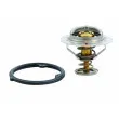 HOFFER 8192412 - Thermostat, liquide de refroidissement