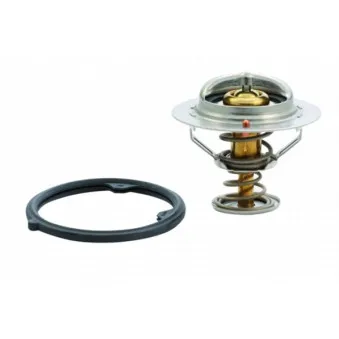 Thermostat, liquide de refroidissement HOFFER OEM 19301pr7305