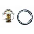 HOFFER 8192414 - Thermostat, liquide de refroidissement