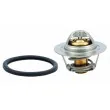HOFFER 8192465 - Thermostat, liquide de refroidissement