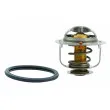 HOFFER 8192525 - Thermostat, liquide de refroidissement