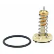 Thermostat, liquide de refroidissement HOFFER [8192621]