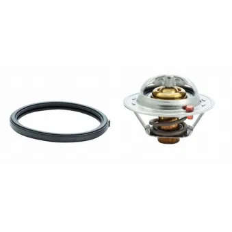 Thermostat, liquide de refroidissement HOFFER OEM 255002B000