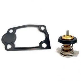 Thermostat, liquide de refroidissement HOFFER OEM 1336AA