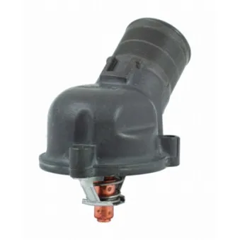 Thermostat, liquide de refroidissement HOFFER OEM 246R5