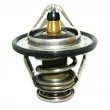 HOFFER 8192733 - Thermostat, liquide de refroidissement