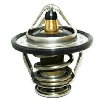 Thermostat, liquide de refroidissement HOFFER OEM 255003C100