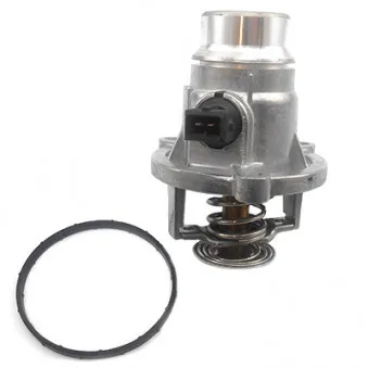 Thermostat, liquide de refroidissement HOFFER 8192762