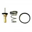 HOFFER 8192780 - Thermostat, liquide de refroidissement
