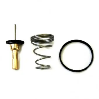 Thermostat, liquide de refroidissement HOFFER OEM 04709359
