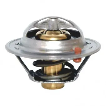 Thermostat, liquide de refroidissement HOFFER OEM 255002A050