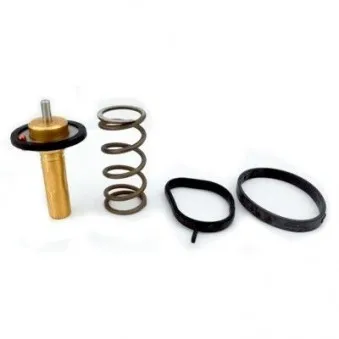 Thermostat, liquide de refroidissement HOFFER OEM bm5g9k478aa