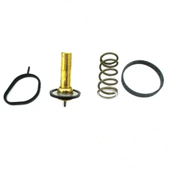 Thermostat, liquide de refroidissement HOFFER 8192877