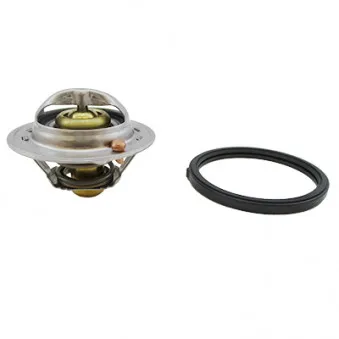 Thermostat, liquide de refroidissement HOFFER 8192910