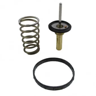 Thermostat, liquide de refroidissement HOFFER OEM 1603147041