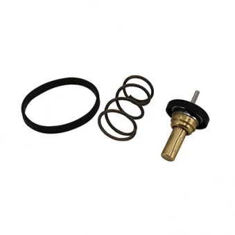 HOFFER 8192952 - Thermostat, liquide de refroidissement