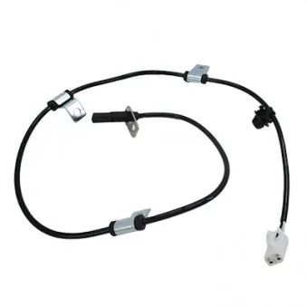 Capteur, vitesse de roue arrière droit HOFFER OEM 5631065J01
