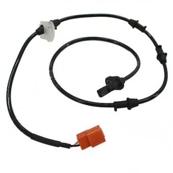Capteur, vitesse de roue avant droit HOFFER OEM 57450SDC003