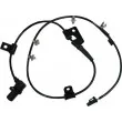 HOFFER 8290307 - Capteur, vitesse de roue avant droit