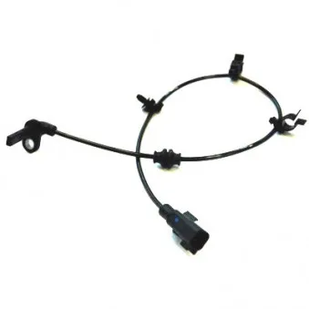 Capteur, vitesse de roue HOFFER OEM 1247003