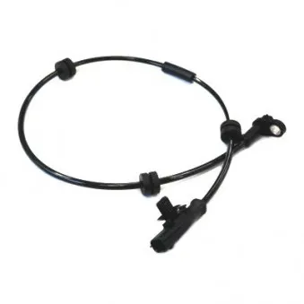 Capteur, vitesse de roue HOFFER 8290359