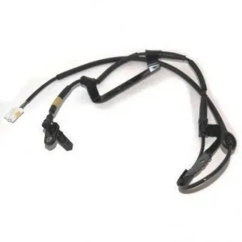 HOFFER 8290409 - Capteur, vitesse de roue arrière droit