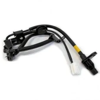 Capteur, vitesse de roue arrière droit HOFFER 8290475