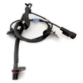 Capteur, vitesse de roue arrière droit HOFFER OEM 53178225