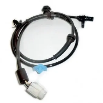 Capteur, vitesse de roue arrière droit HOFFER OEM 5631079J01