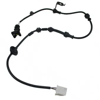 Câble de connexion-ABS arrière gauche HOFFER OEM 919200X000