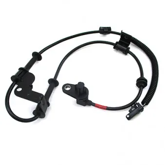 Capteur, vitesse de roue avant droit HOFFER OEM 956711R000