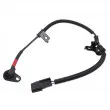 HOFFER 8290958 - Capteur, vitesse de roue avant droit