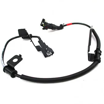Câble de connexion-ABS arrière droit HOFFER OEM 919202W100