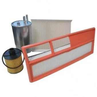 Kit de filtres HOFFER OEM 1651079J60