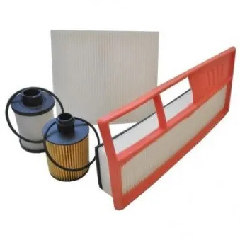 Kit de filtres HOFFER OEM 1651079J60