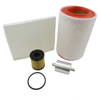 Kit de filtres HOFFER OEM 05650342