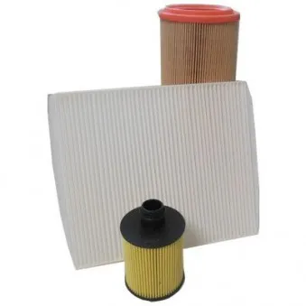 Kit de filtres HOFFER OEM 1651079J60