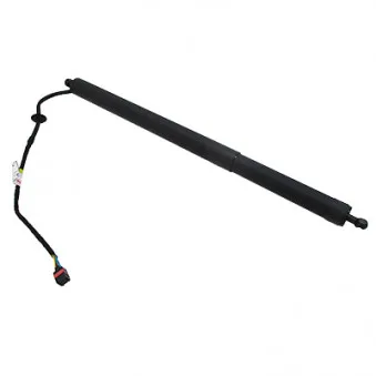 Vérin, étagère (coffre) arrière droit HOFFER OEM 81780D3100