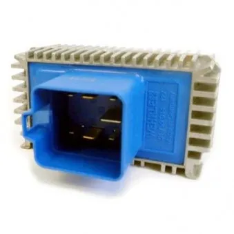 Appareil de commande, temps de préchauffage HOFFER OEM 06235240