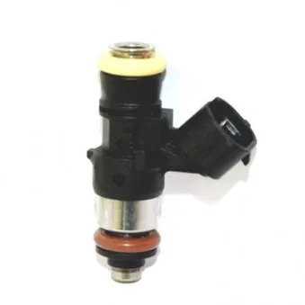 Injecteur HOFFER H75114818