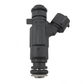 Injecteur HOFFER OEM 9676017480